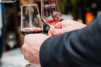 Image of two hands, one holding a sample of red wine, the other rosé